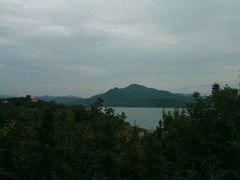 -望湖烤鱼