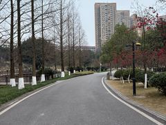 -沐仙湖湿地公园