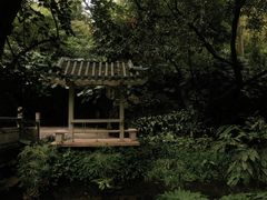 -广州兰圃