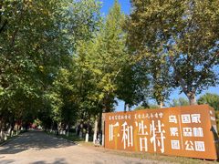 -乌素图国家森林公园