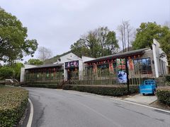 -逸廊大堂吧-下午茶·简餐-千岛湖自由洲际殿