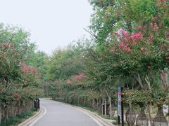 -武汉紫薇都市田园