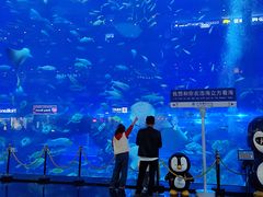 -成都浩海立方海洋公园