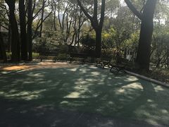 -徐家汇源景区-衡山公园
