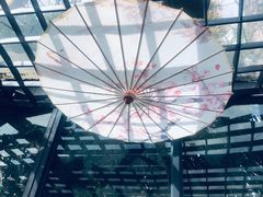 -阿鹏故事云南野生菌火锅(人民路店)