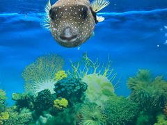 -泉州海丝野生动物世界