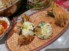 -一绪に寿喜烧(荟聚店)