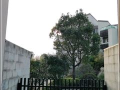 -上海崇明金茂凯悦酒店