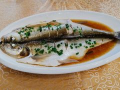 太湖清蒸白鱼-王四酒家苏帮菜馆(观前店)