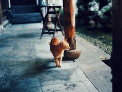 -小雅青年旅舍(平江路店)