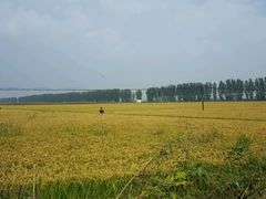 -欢乐农家采摘园