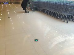 -西树泡芙(秦皇岛茂业天地店)