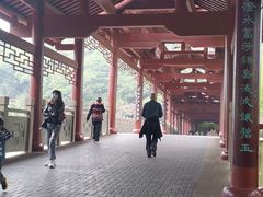 -重庆彩云湖湿地公园