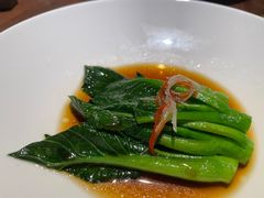 -觀芷隐轩