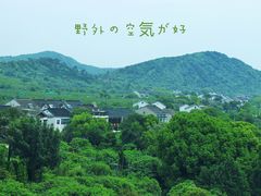 -树山生态村
