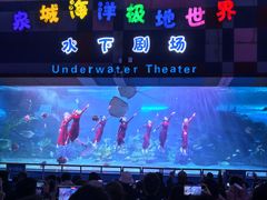 -泉城欧乐堡海洋极地世界