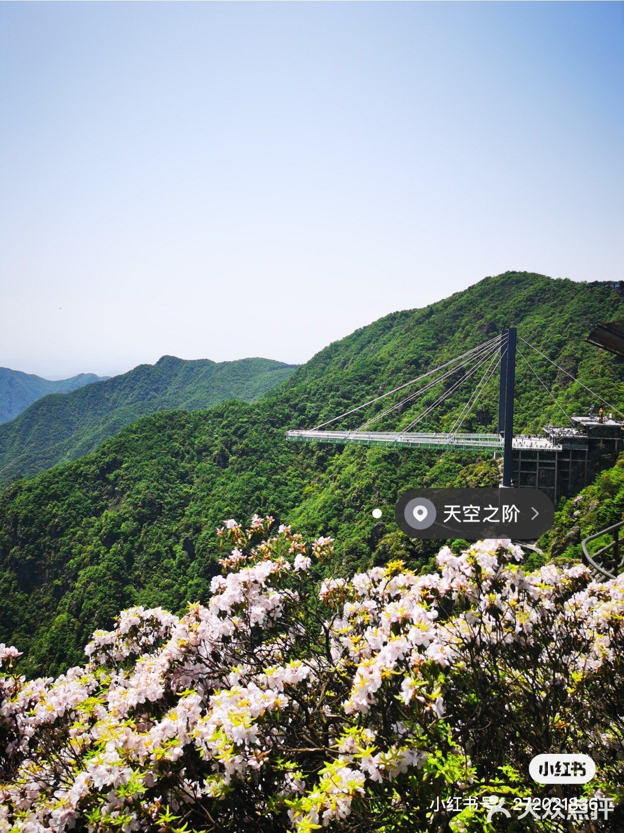 安吉|雲上草原江浙滬必去小眾旅遊景點98