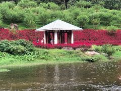 -广州市石门国家森林公园