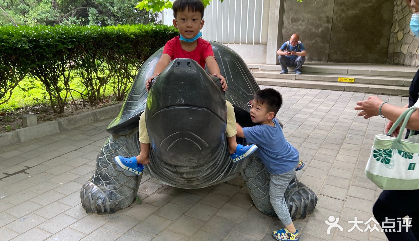 园子里禁止投喂 总有执勤人员盯着乱投喂