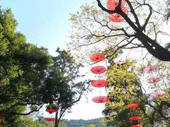 -广州市白云山风景名胜区