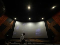 -金逸影城(大悦城IMAX激光店)