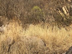 -碓臼峪自然风景区