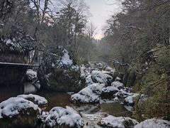 -龙苍沟森林公园
