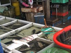 -七宝蔬菜农副产品综合交易市场-停车场