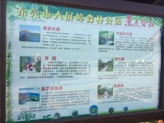 -大屏嶂森林公园