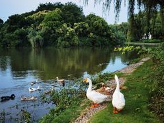 -东华大学(松江校区)