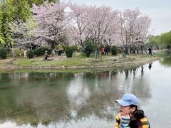 -堤角公园