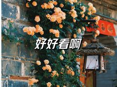 -老门东历史文化街区