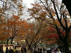android_upload_pic-八大关景区