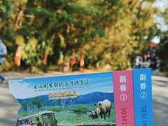 -普洱太阳河森林公园