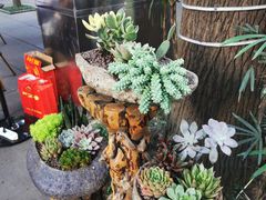 -王家渡火锅(三苏祠店)
