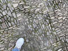 -苏州上方山国家森林公园