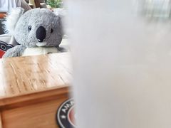 -了不起的考拉咖啡店(高新店)