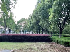 -九里河湿地公园