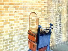 -九又四分之三站台