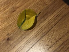 -Moka Bros 摩卡站(西单大悦城店)