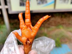 鸡爪-凡老头米线砂锅(古荡新村西粮站)