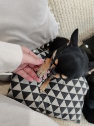 -孕视觉专业孕妇摄影(天津南开店)