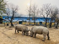 -西安秦岭野生动物园