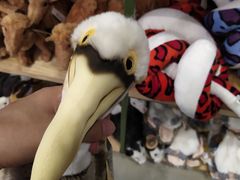 -Behring World of Animals(上海自然博物馆店)