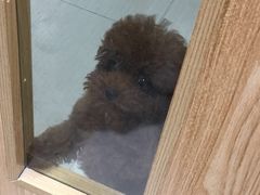 -惠康宠物医院(华能路店)