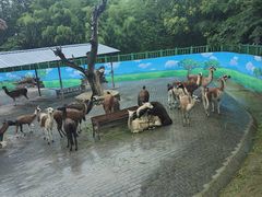 -西安秦岭野生动物园