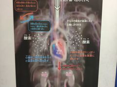 -大阪儿童乐园