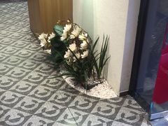 -霸王茶姬(正佳广场店)
