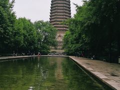 -玲珑塔公园