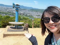 -岚山猴子公园